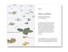 Blind Folly or How Tacita Dean Draws