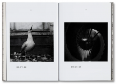 The Lighthouse Screenplay