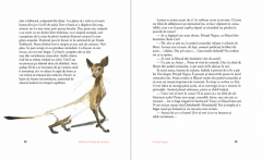 Isabela si fetita de lumina