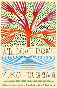 Coperta cărții Wildcat Dome
