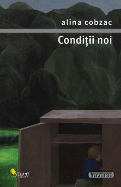 Conditii noi