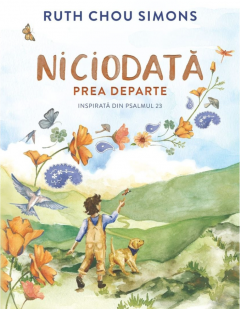 Niciodata prea departe