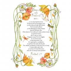 Niciodata prea departe