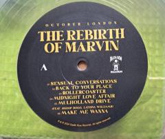 The Rebirth Of Marvin - Vinyl