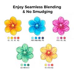 Set 216 carioci - Baza Alcool