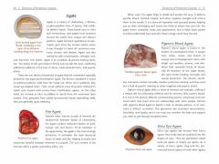 Crystals for Psychic Self-Defense