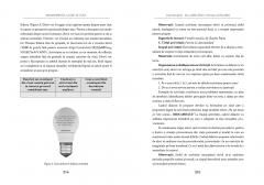 Managementul clasei de elevi