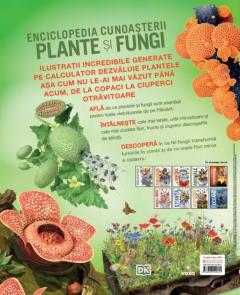 Plante si fungi