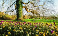 Martha Stewart's Gardening Handbook