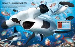 Build Your Own Sea Creatures