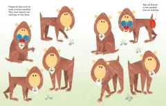 Fingerprint Activities Zoo