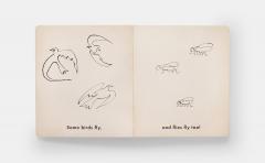 Birds & Other Animals with Pablo Picasso