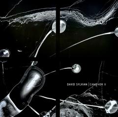 Camphor II - White Vinyl