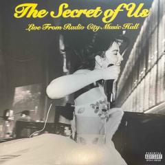 The Secret Of Us - Vinyl