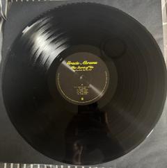 The Secret Of Us - Vinyl