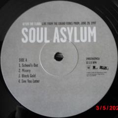 After The Flood - Vinyl