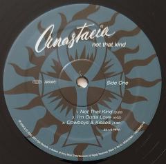 Not That Kind - Vinyl