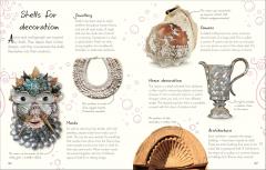 An Anthology of Shells