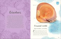 An Anthology of Shells