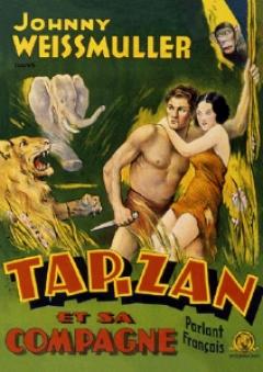 Carnet - Tarzan