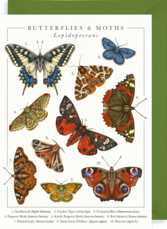 Felicitare British Butterflies