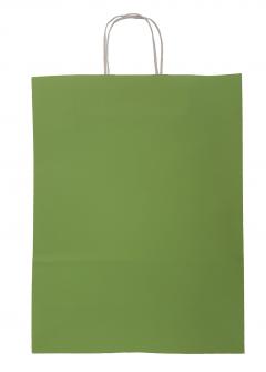 Punga pentru cadouri - Lime Green