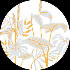 Pahar - Tropic Summer