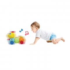 Jucarie cu telecomanda - R/C Wriggle 'N Giggle Caterpillar