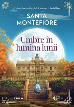 Umbre in lumina lunii