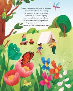 Viata secreta a insectelor