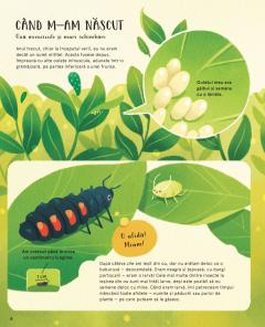 Viata secreta a insectelor