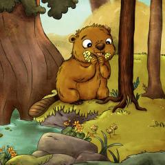 Invat despre natura - Castorul