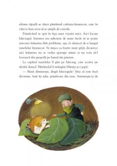 Raze delicate si flori parfumate