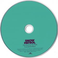 The Forest Is The Path