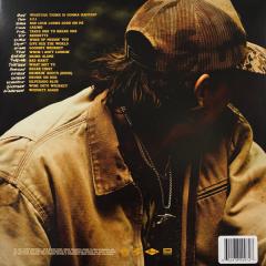 What Not To - Brown Marbled Translucent Vinyl