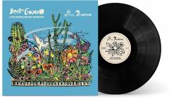 Still Blooming - Vinyl