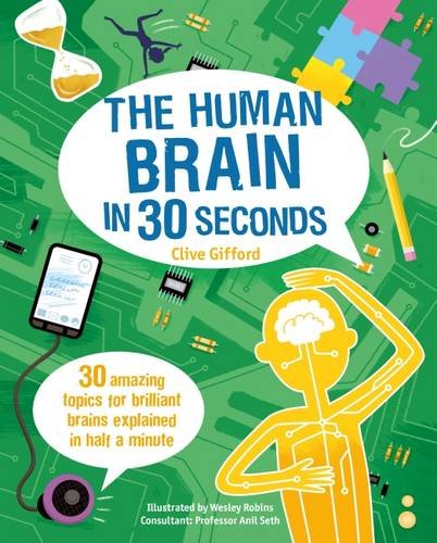 The Human Brain in 30 Seconds
