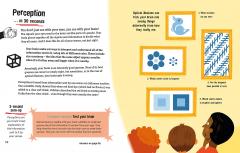 The Human Brain in 30 Seconds