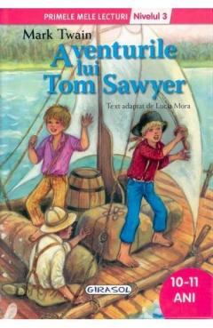 Aventurile lui Tom Sawyer - Nivelul 3