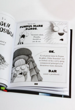 Baietii Rai. Misiune improbabila