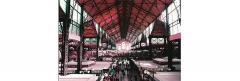 Film foto color - Lomochrome ISO 100 - 400