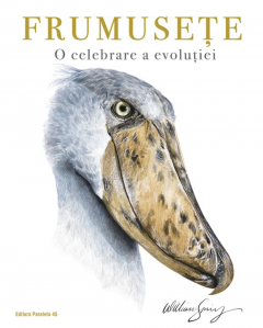 Frumusete. O celebrare a evolutiei