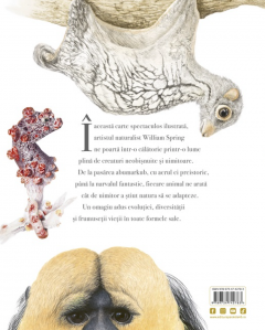 Frumusete. O celebrare a evolutiei