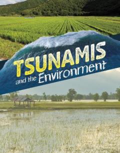 Tsunamis and the Environment
