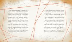 Baiatul care si-a pierdut scanteia