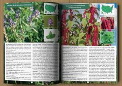 The Forager's Guide to Wild Foods