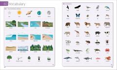 English for Everyone Course Book Level 3 Intermediate: A Complete Self-Study Programme