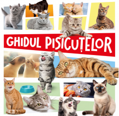 Ghidul pisicutelor