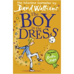 The Boy in the Dress David Walliams