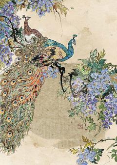 Felicitare - Peacock Wisteria Bug Art
